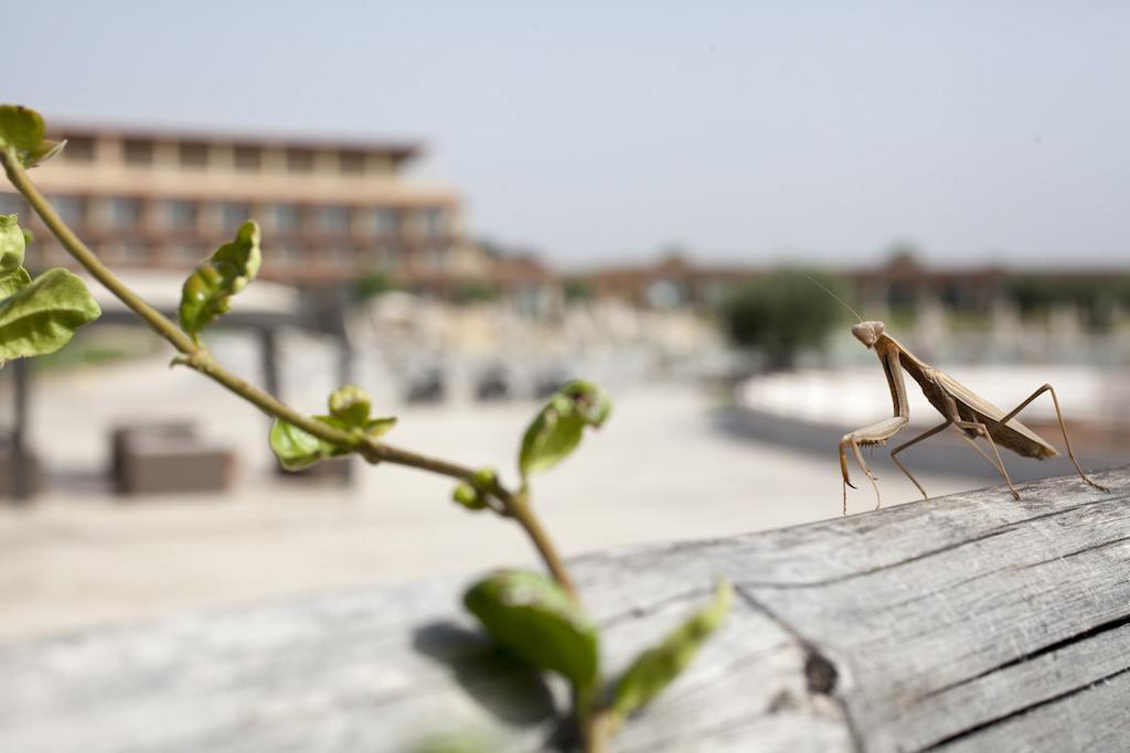 Eco Dei Siriti Resort